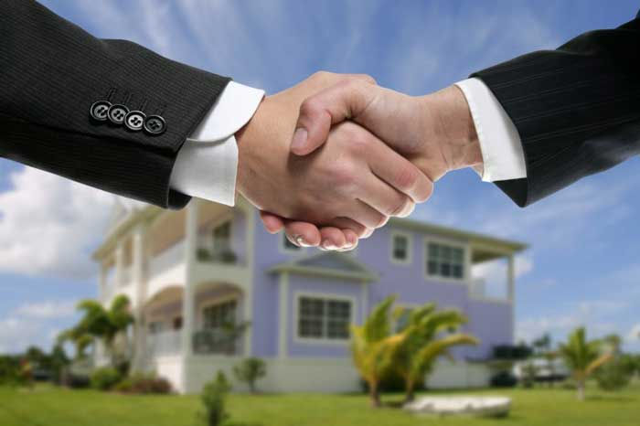 PROPERTY & REALESTATE.jpg