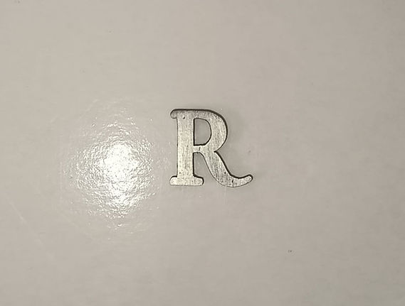 WhatsApp Image 2026-02-28 at 10.29.15 AM.jpeg