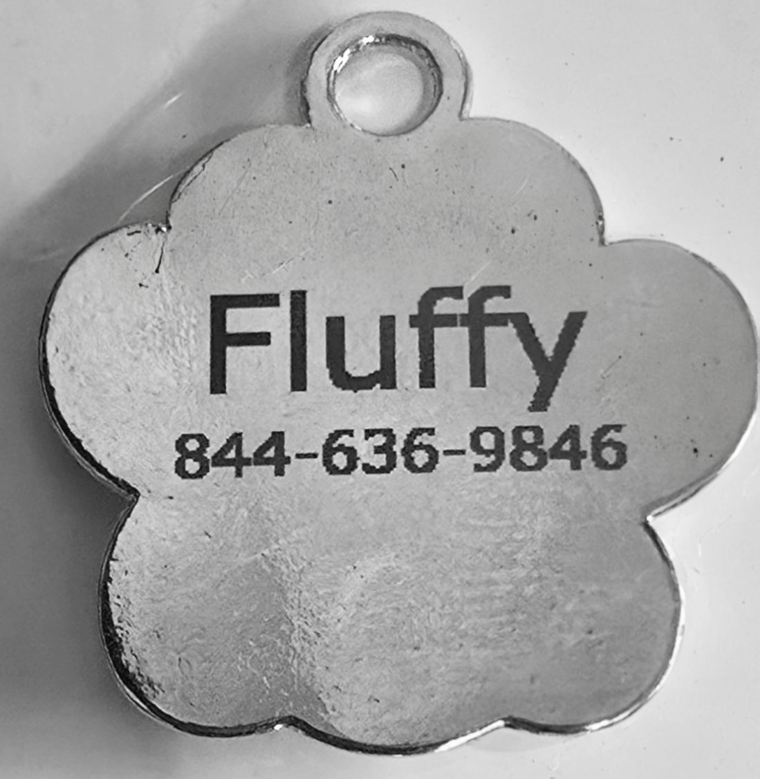 Personalized Stainless Glitter Paw Pet Tag