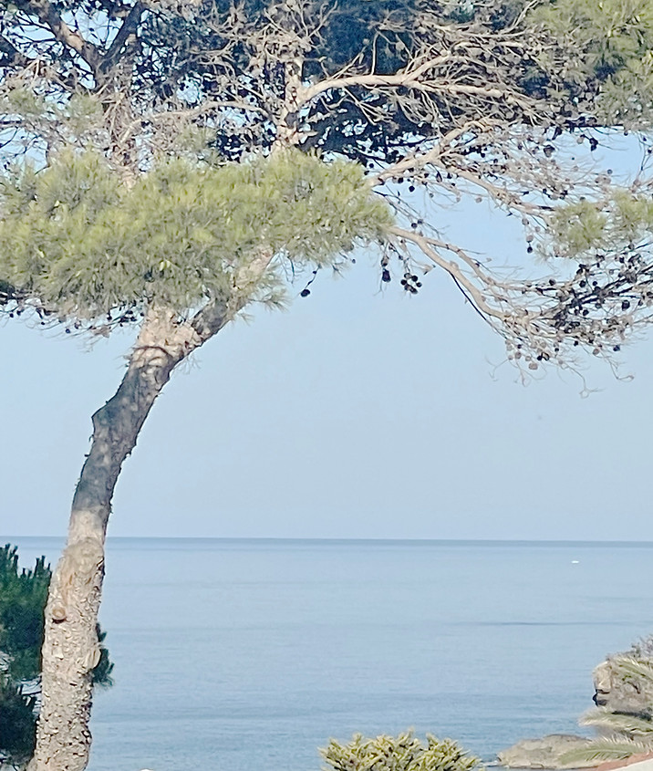 LA VUE