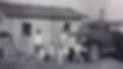 wolf family 1.jpg