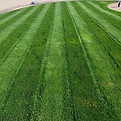 Screenshot_20220623-112904_Gallery_edited.jpg