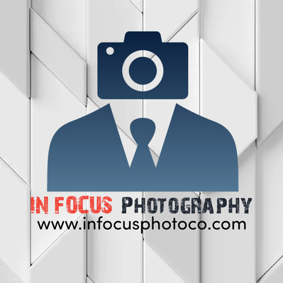 Professional Photographer