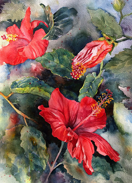 JohnsGardenHibiscus