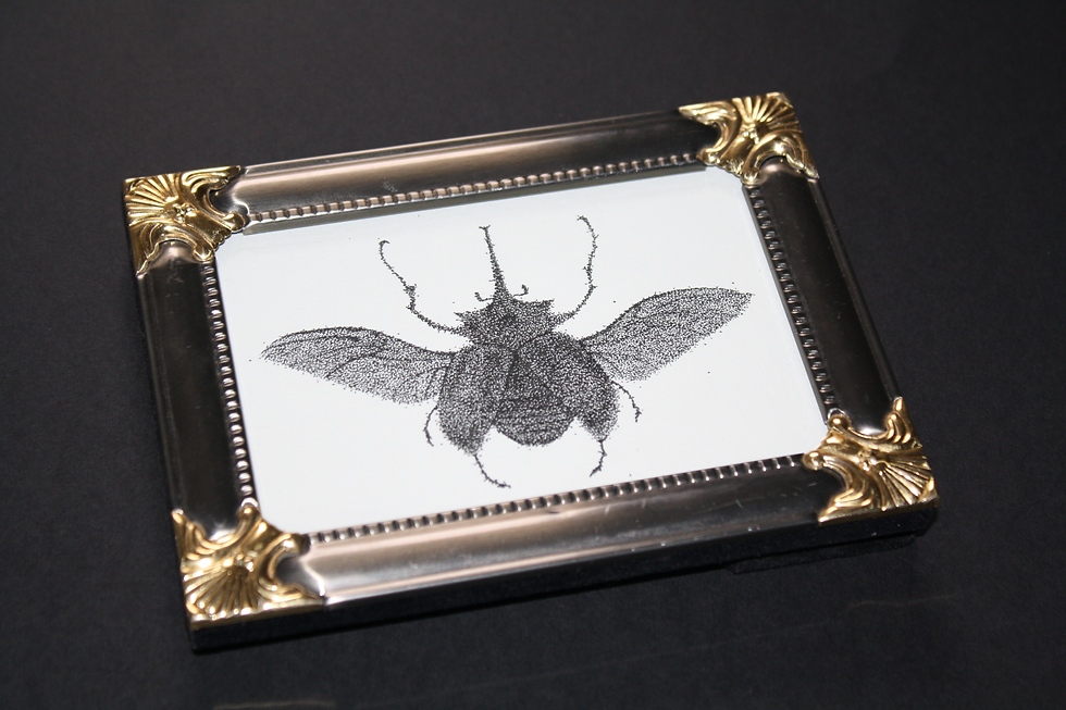 5 HORN BEETLE