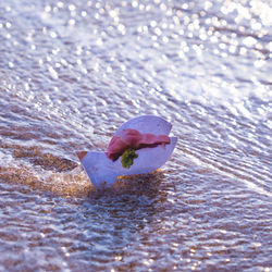 Wong Chi Lam_Final Project-3