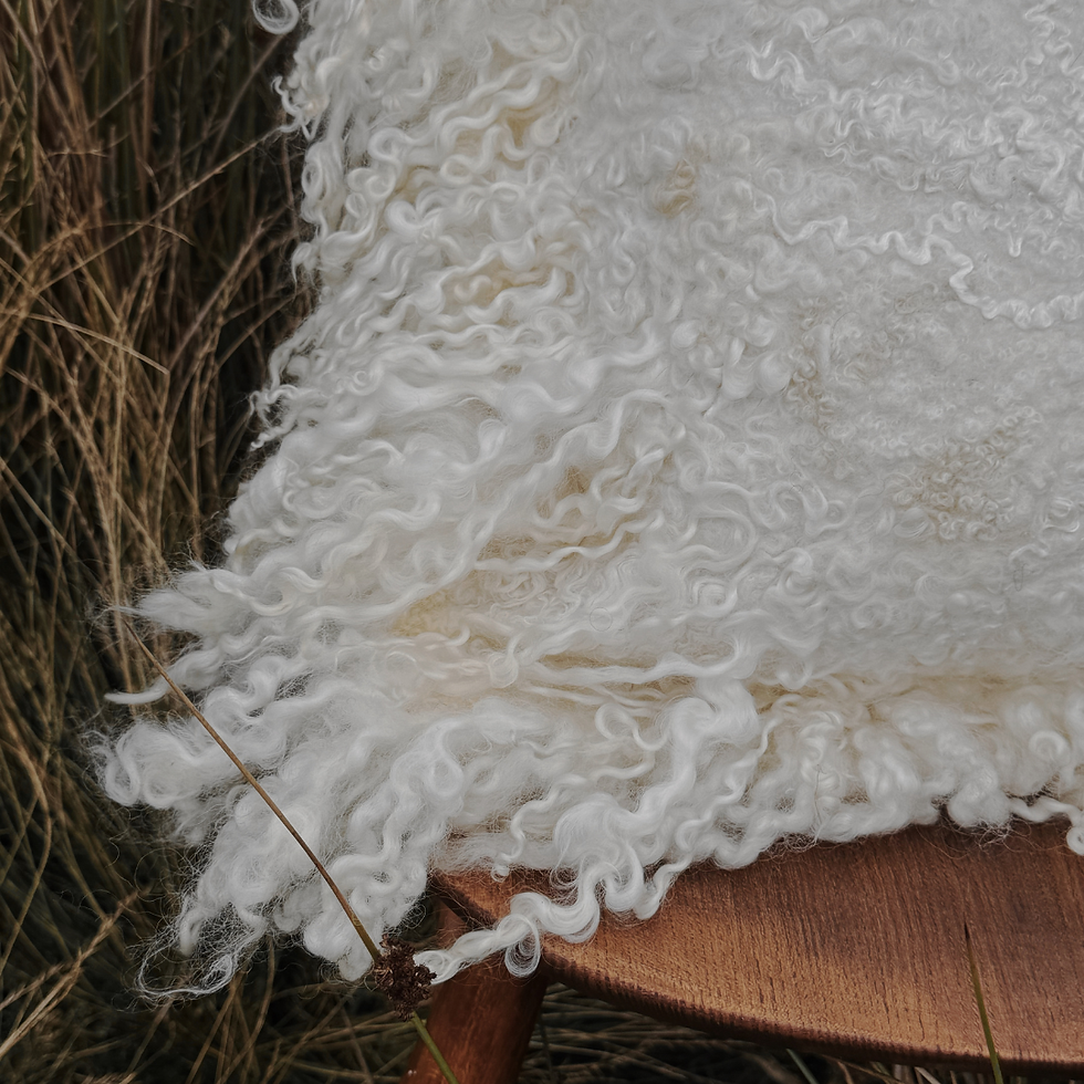Thumbnail: Soft Object. Cushion. 01