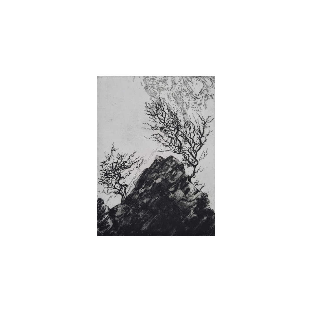 Wind-Claimed