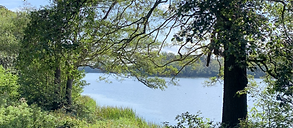 Virginia Water_edited_edited.png
