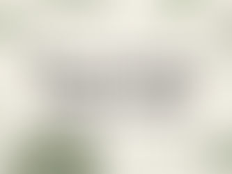 Decorative title card illustration for boutique rental article