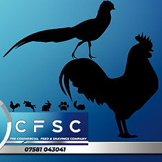 poultry.jpg