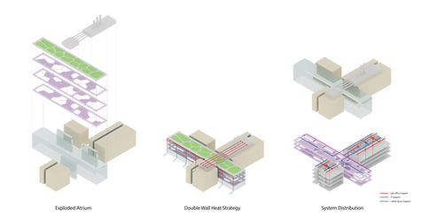 00 Axons-01.png