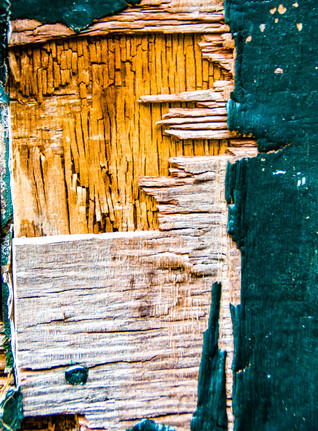 rot hout