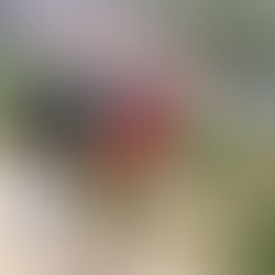 How to Make the Unfamiliar Seem Less Scary