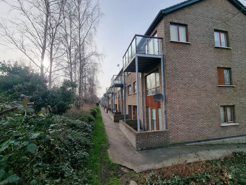 expert engineering, timber balcony, structural engineering, project management, investigation & remediation, defective balconies