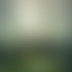 Letters from Ulay: Giving the Gift of Education