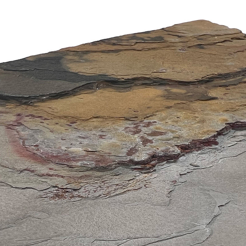 縮圖：透光石 Translucent stone veneer 秋意濃 超薄天然石材 100% natural stone surface 可彎曲石材