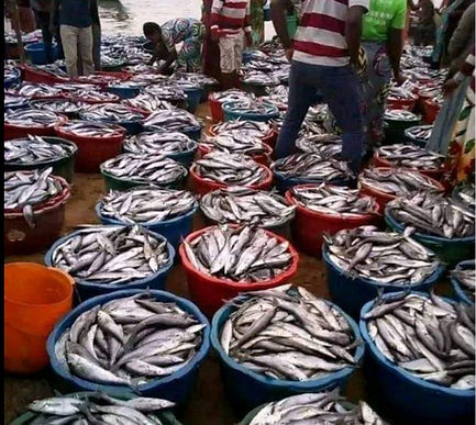 Screenshot_20250415_184910_Photos_edited