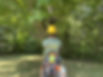 Dos paysage.jfif