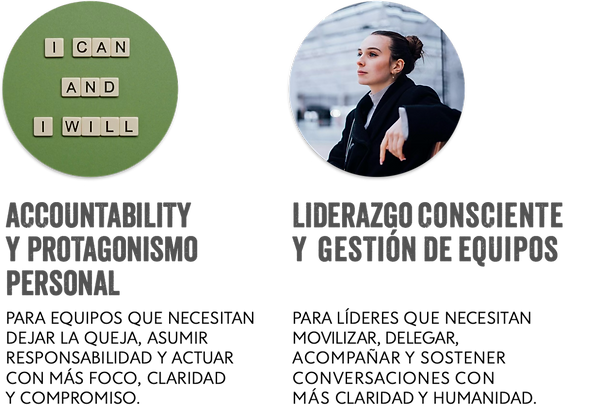 lineas de trabajo1.png