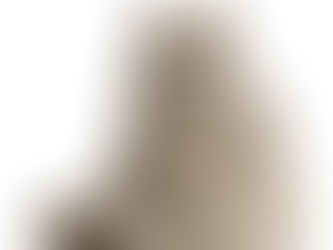 British Longhair