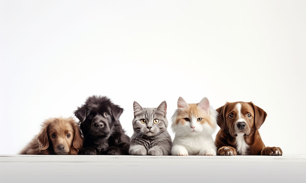 vecteezy_ai-generated-backdrop-with-pictures-of-cute-pets-puppies_30206632.jpg