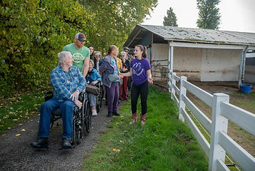 mini-horses-2.jpg