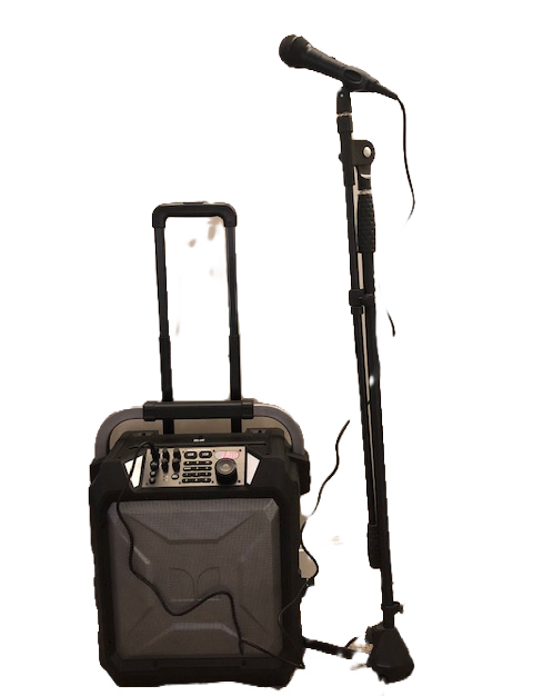 Portable sound system