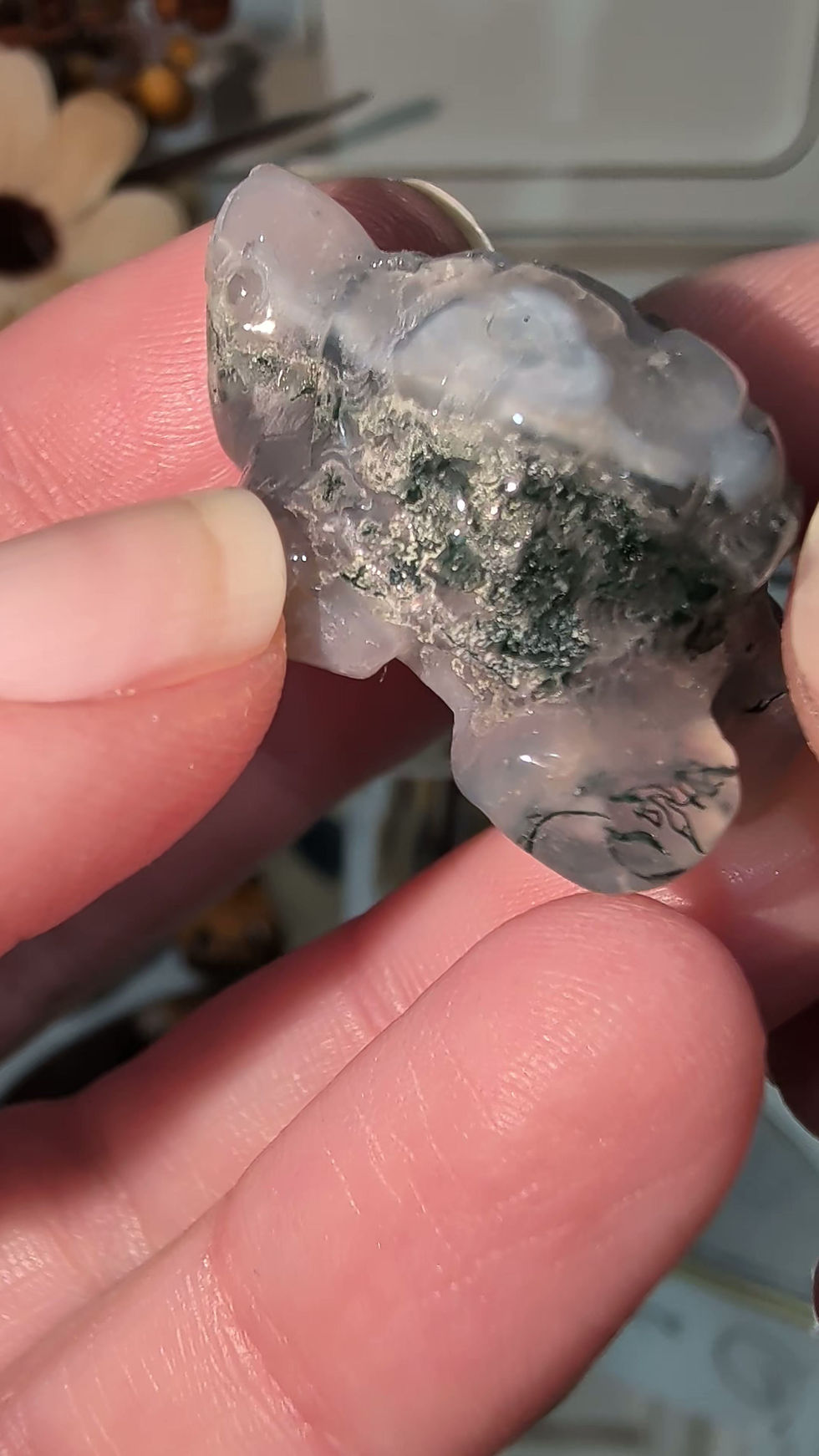 Thumbnail: Beautiful Moss Agate Turtle 🐢