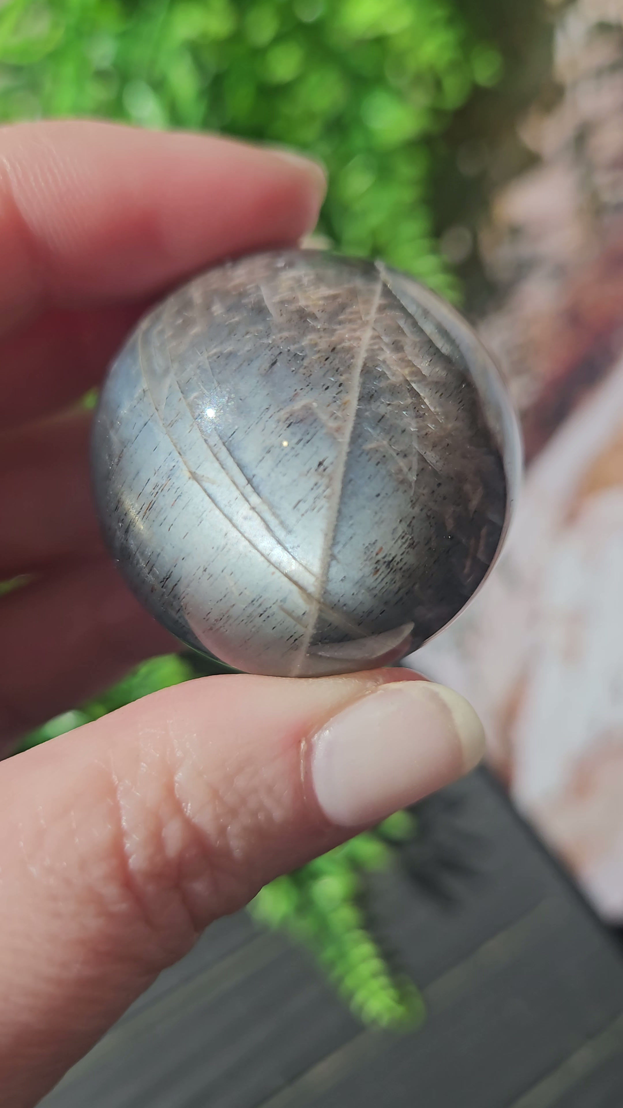 Stunning Black Moonstone Sphere with Lattice Sunstone and Asterisms 