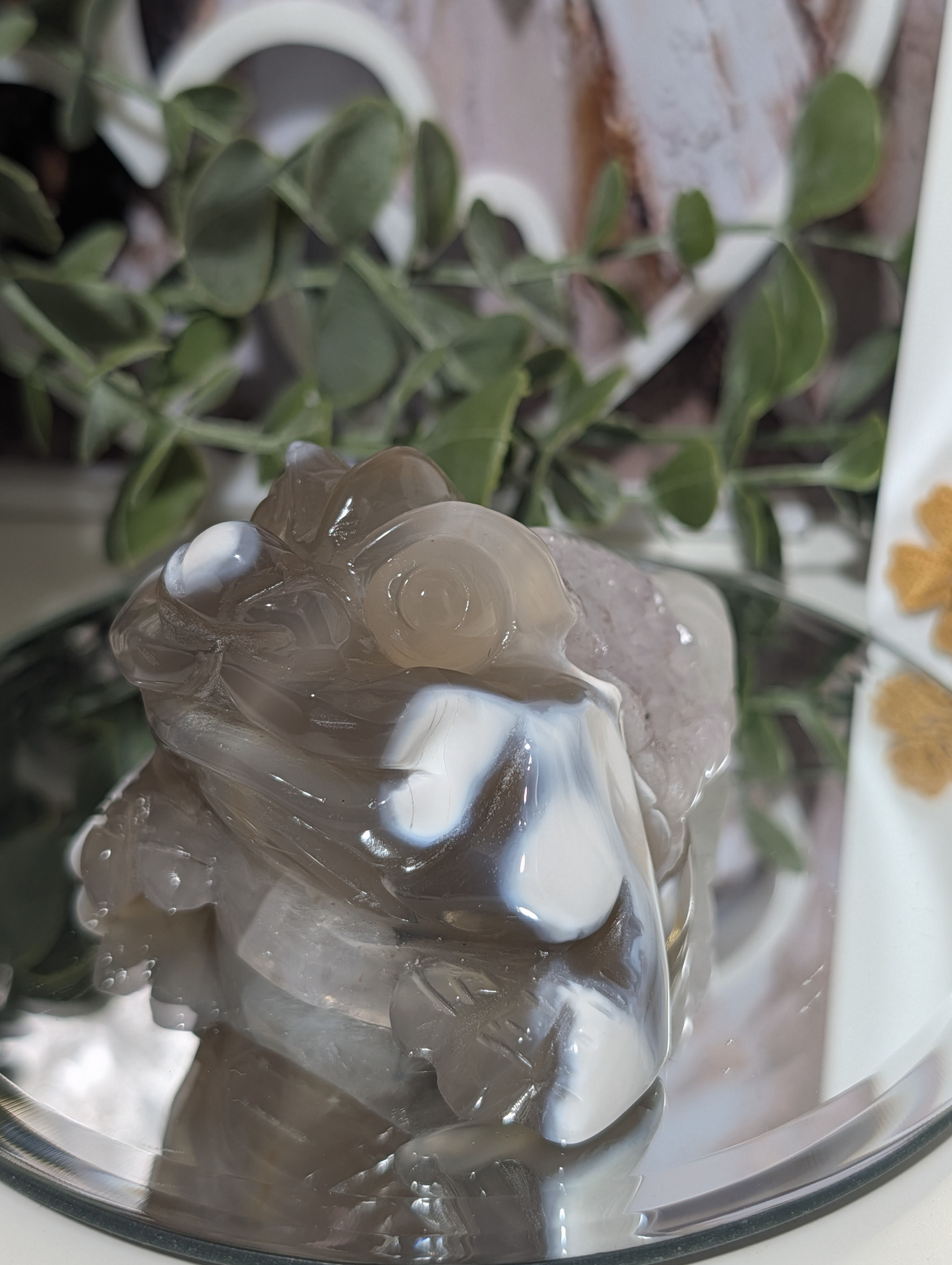 Beautiful Orca Agate Three-Legged Chinese Money Toad