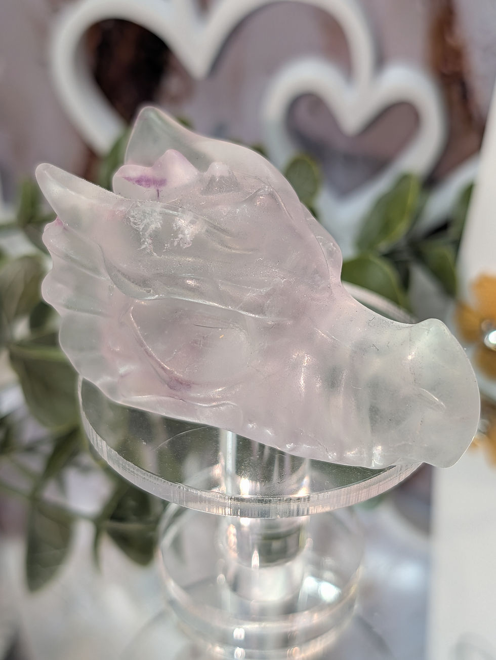 Thumbnail: Gorgeous High Grade Fluorite Dragon Head