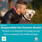 Screenshot 2024-06-02 150335.png