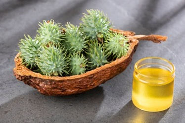 Castor Oil