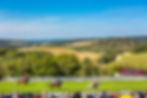 Goodwood