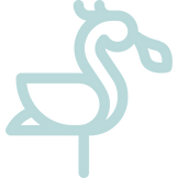 spoonbill (1)_edited_edited_edited.png