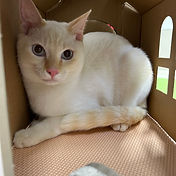 IMG_6156 2_edited.jpg