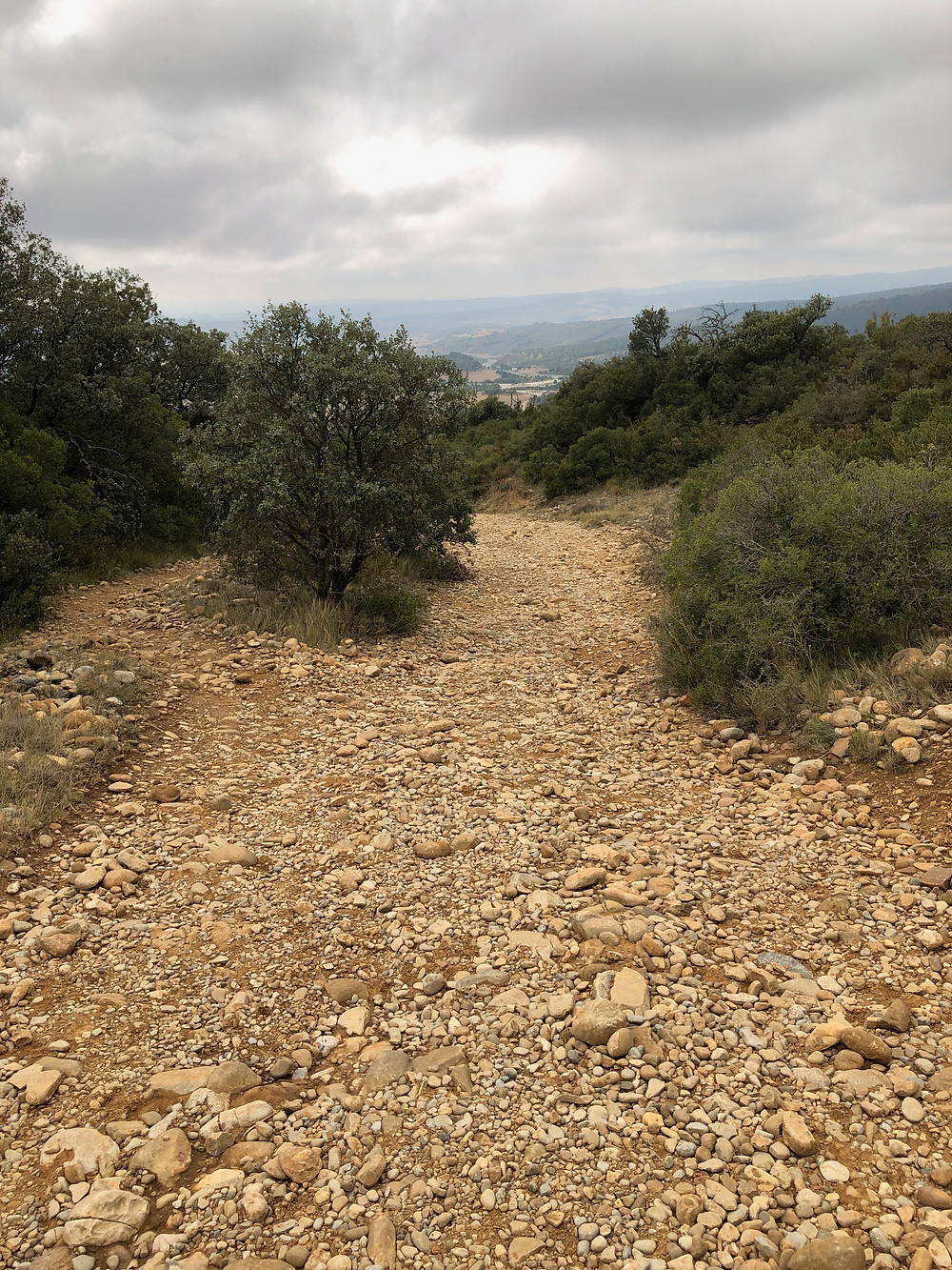 Chemin de pierres