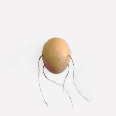 Miniature : ARRHIOUI Mohammed #2