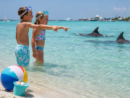 Children spotting dolphins at Crab Island sandbar