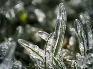 Do I Need To Winterize My Irrigation System In Texas?