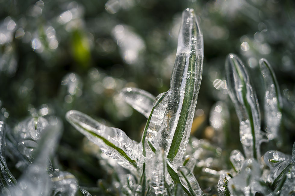 Do I Need To Winterize My Irrigation System In Texas?