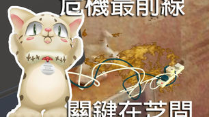 三芝國中《水火無情 VR 互動學習》| XR應用案例