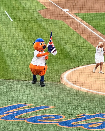 mets-2.jpg