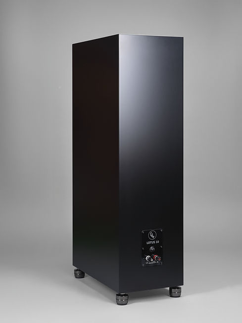 Cube Audio Lotus 10