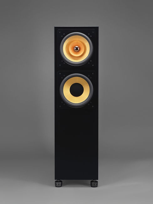 Cube Audio Lotus 10