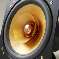 Cube Audio F10 fullrange driver