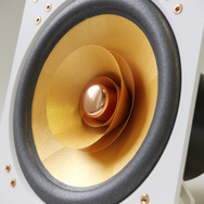 Cube Audio F10 fullrange driver