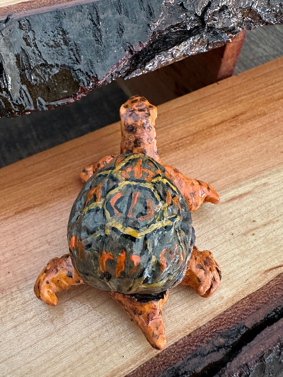 Thumbnail: Turtle