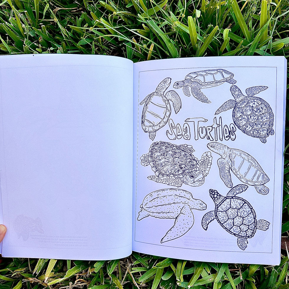 Thumbnail: Beach Coloring Book, Summer theme, Gifts for Adults, Gift for Teens